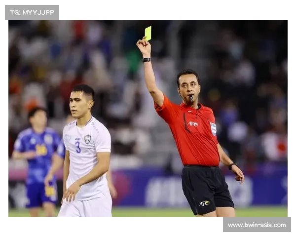 伊朗裁判法加尼执法国足世预赛 曾引发中超裁判争议分析